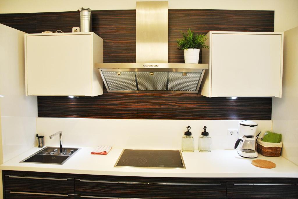 Schoenbrunn Park Apartement Viena Habitación foto